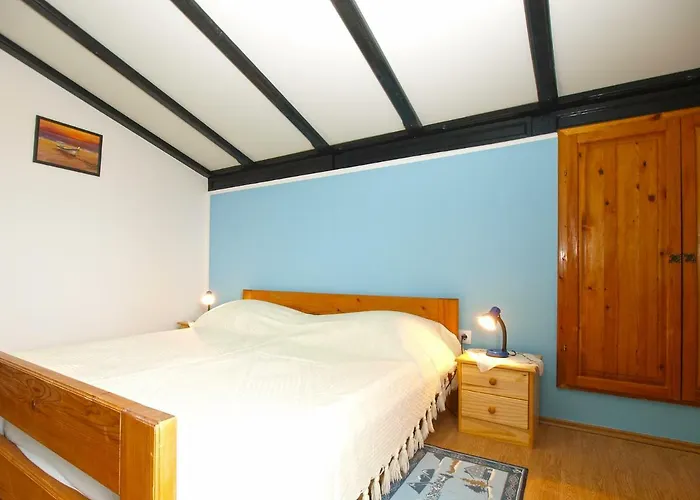 Dragica 1251 法扎纳